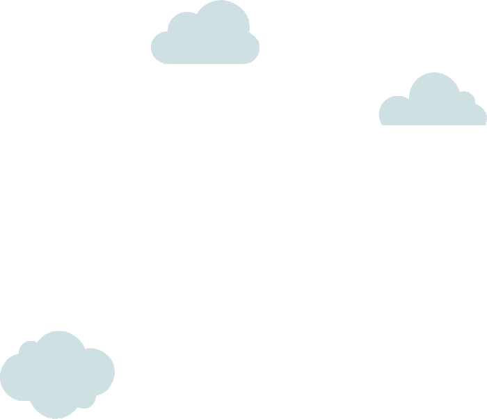 Development Process